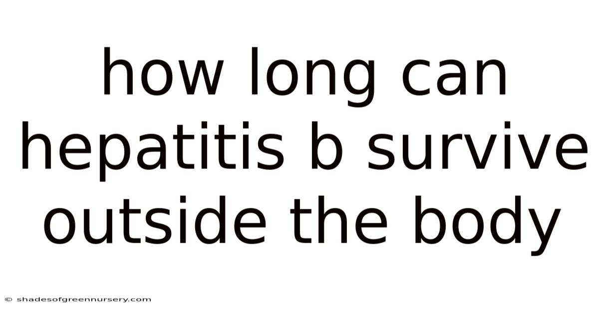 How Long Can Hepatitis B Survive Outside The Body
