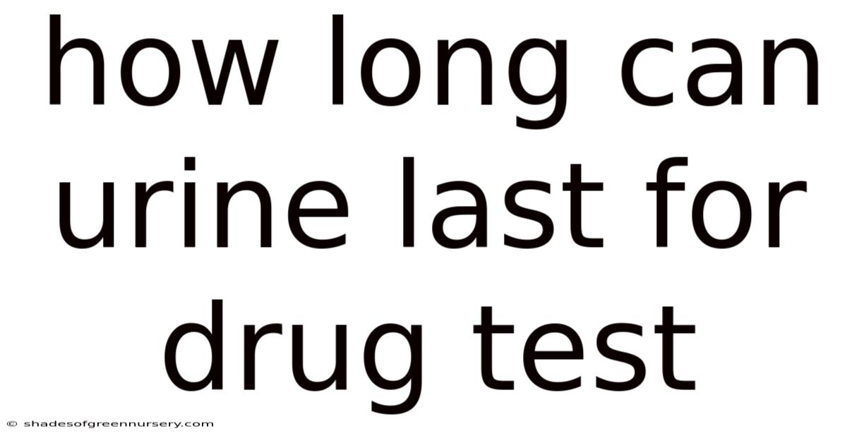 How Long Can Urine Last For Drug Test