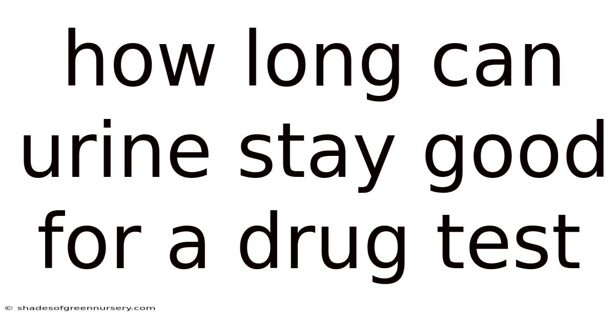How Long Can Urine Stay Good For A Drug Test