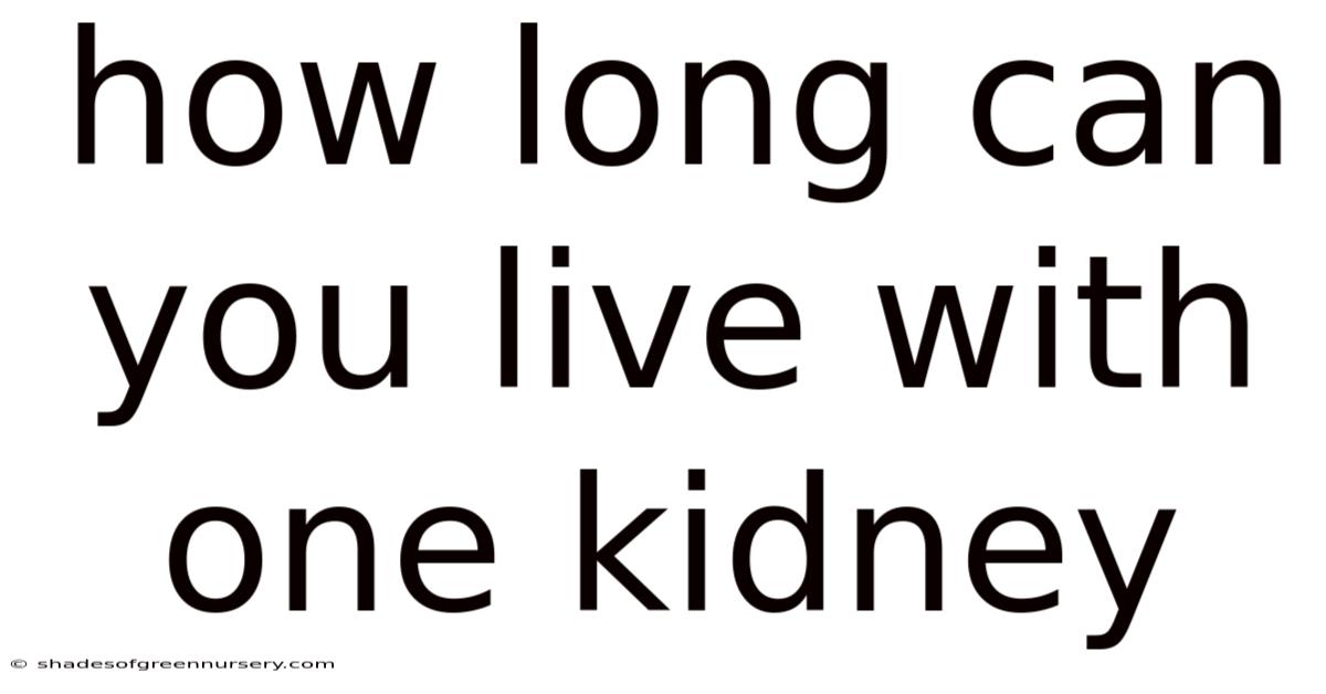How Long Can You Live With One Kidney