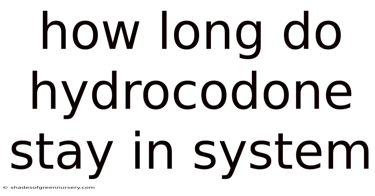 How Long Do Hydrocodone Stay In System