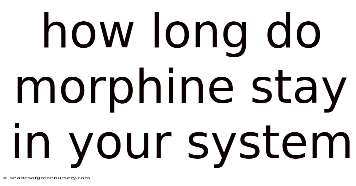 How Long Do Morphine Stay In Your System