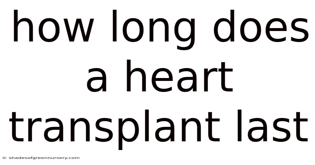 How Long Does A Heart Transplant Last