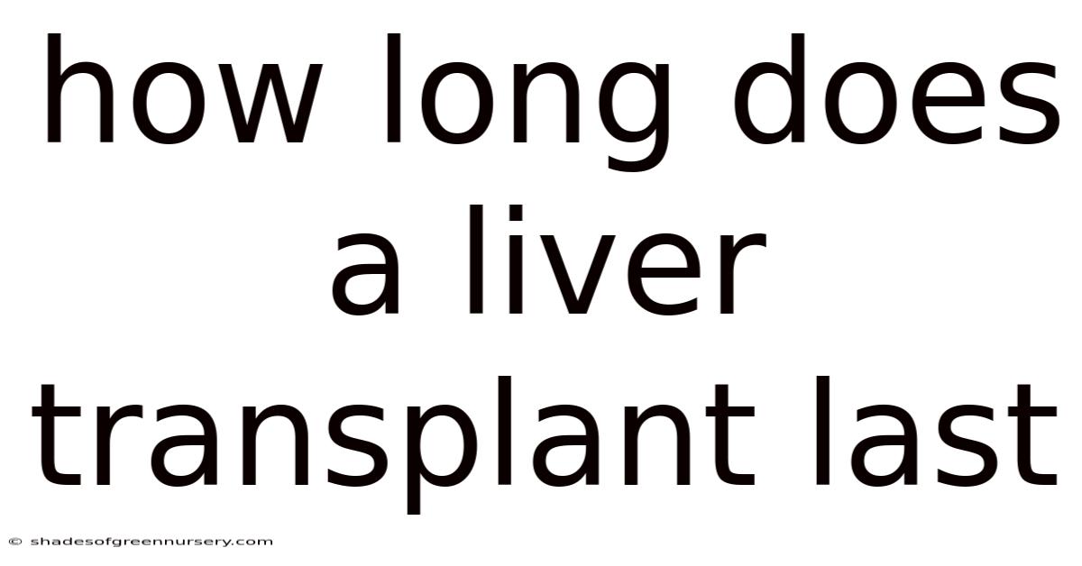 How Long Does A Liver Transplant Last