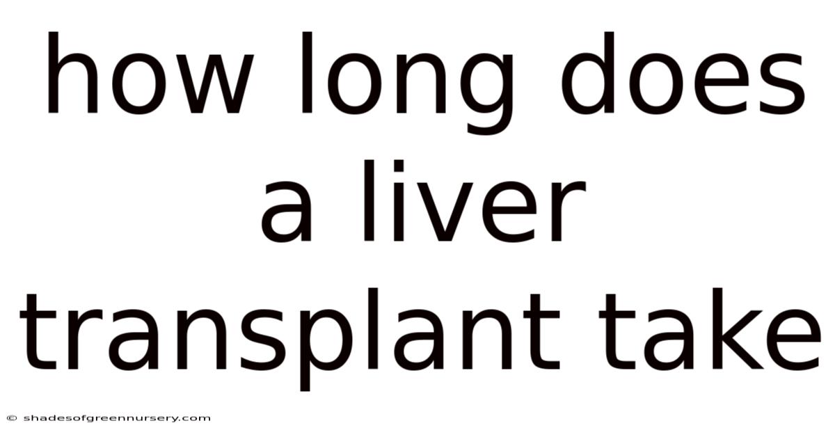 How Long Does A Liver Transplant Take