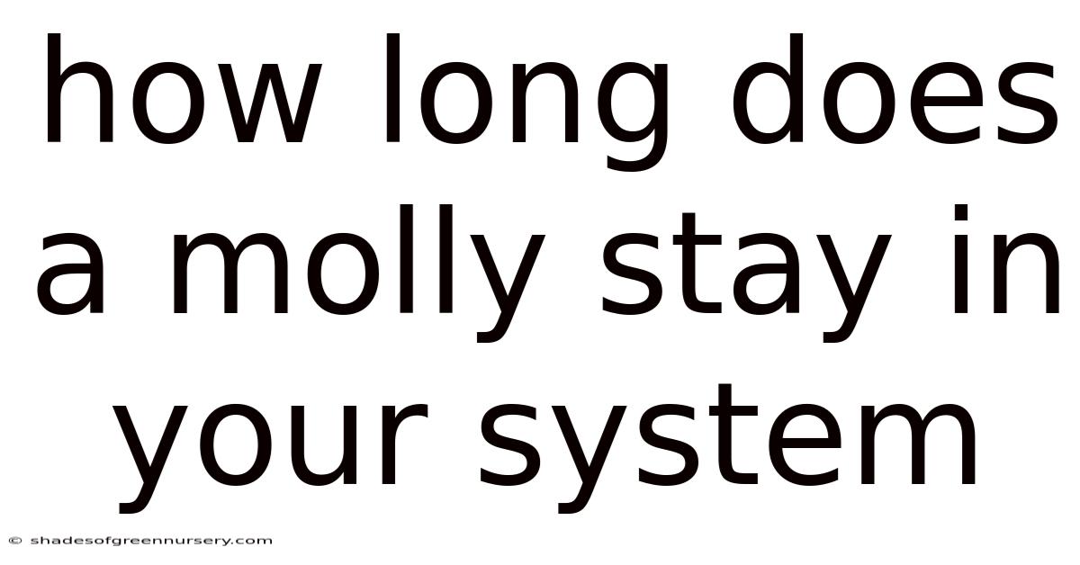 How Long Does A Molly Stay In Your System