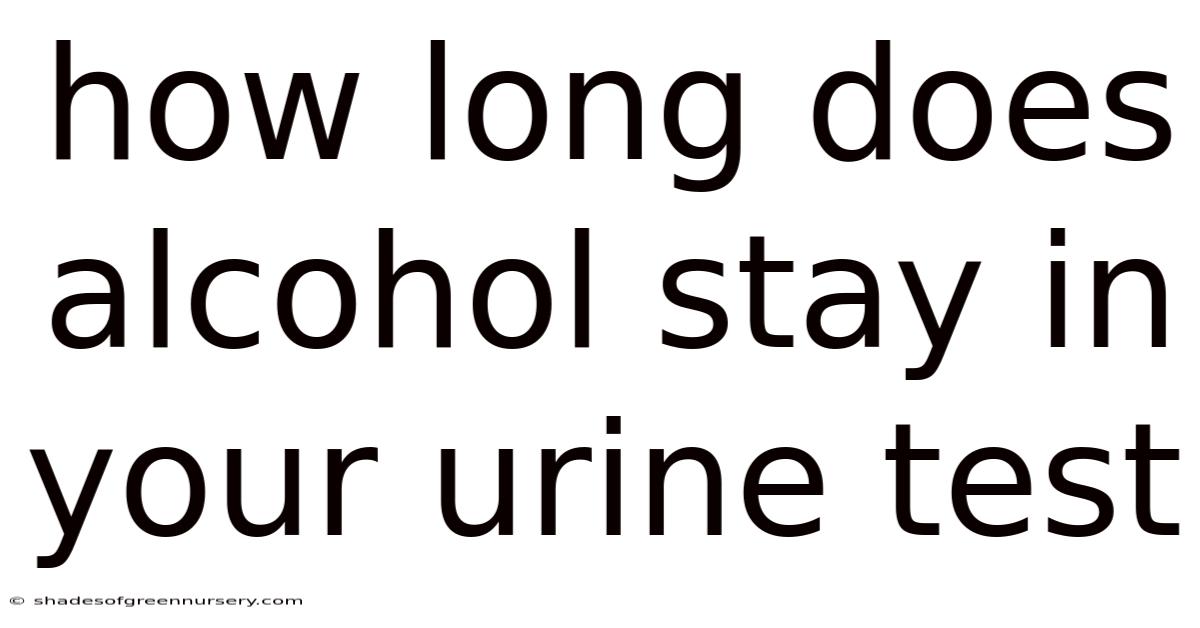 How Long Does Alcohol Stay In Your Urine Test