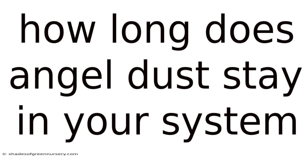 How Long Does Angel Dust Stay In Your System