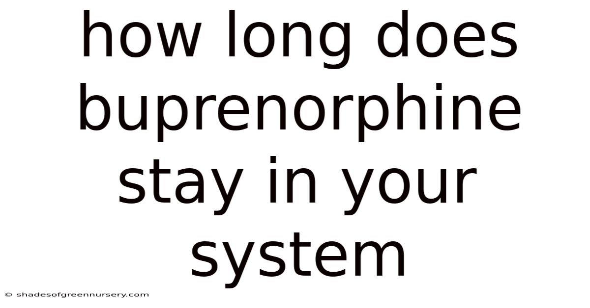 How Long Does Buprenorphine Stay In Your System