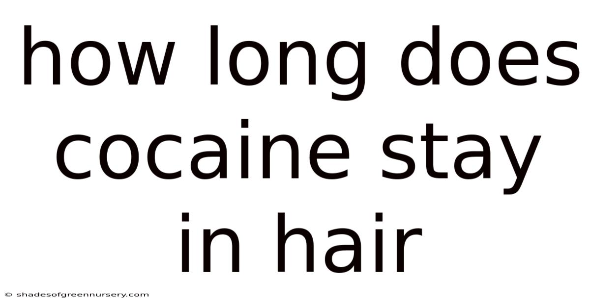 How Long Does Cocaine Stay In Hair