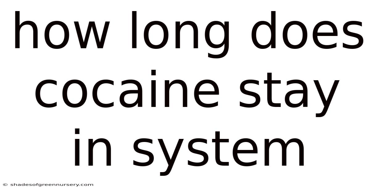 How Long Does Cocaine Stay In System