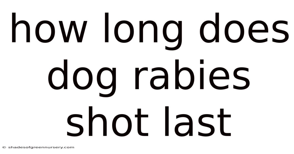 How Long Does Dog Rabies Shot Last