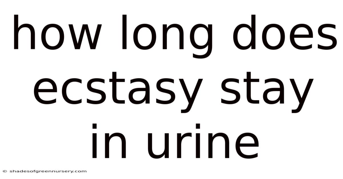 How Long Does Ecstasy Stay In Urine