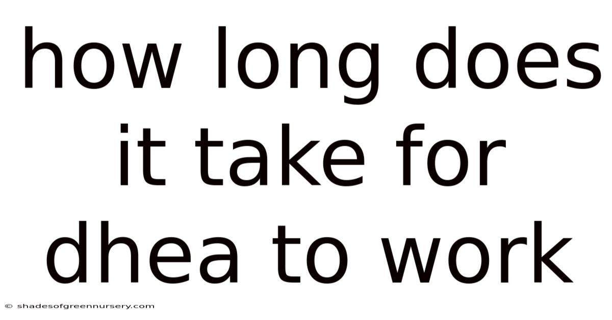 How Long Does It Take For Dhea To Work
