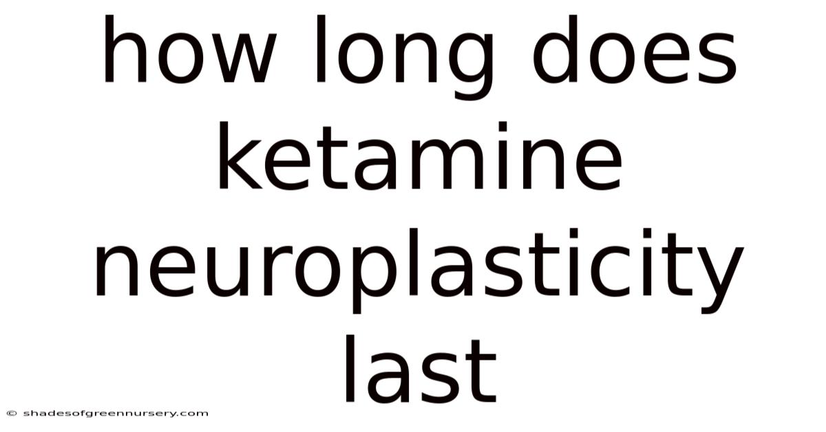 How Long Does Ketamine Neuroplasticity Last