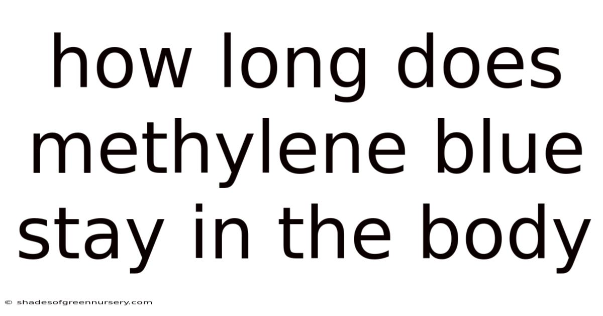 How Long Does Methylene Blue Stay In The Body