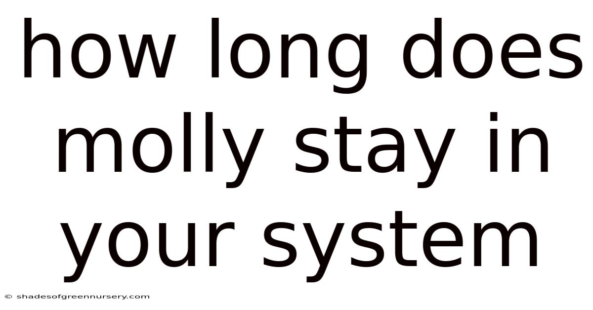 How Long Does Molly Stay In Your System