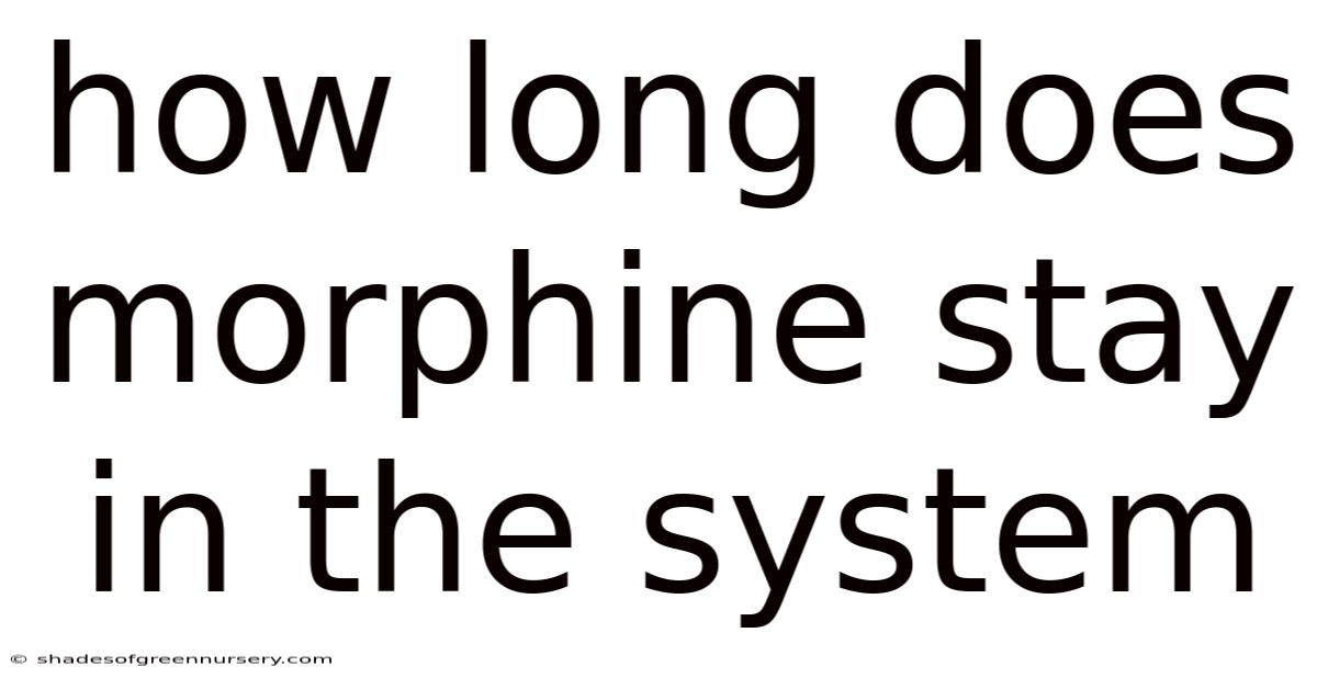 How Long Does Morphine Stay In The System