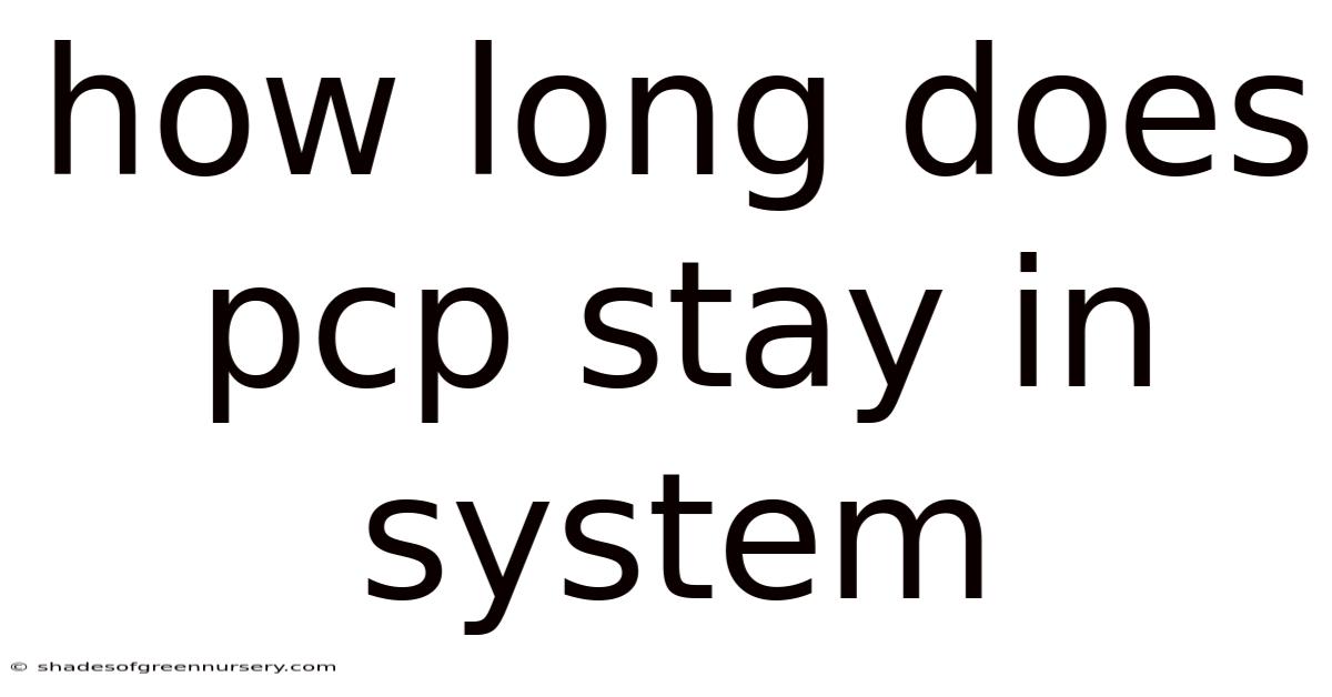 How Long Does Pcp Stay In System