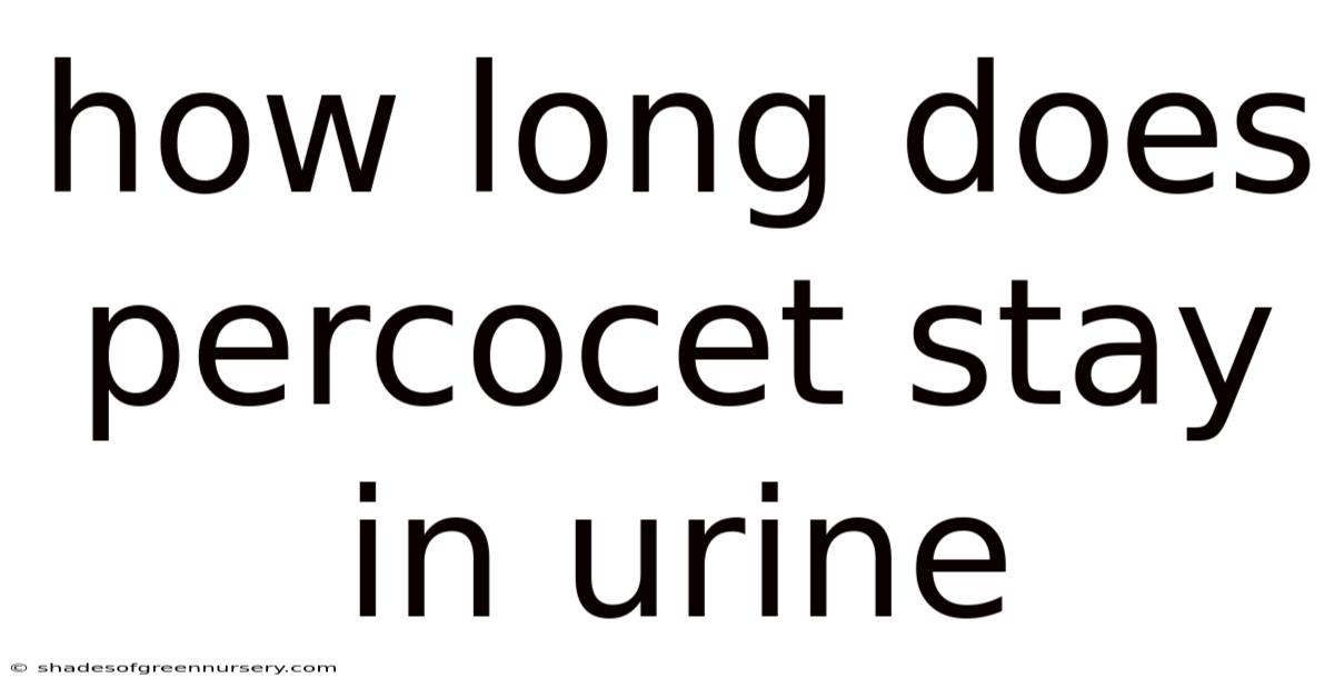 How Long Does Percocet Stay In Urine