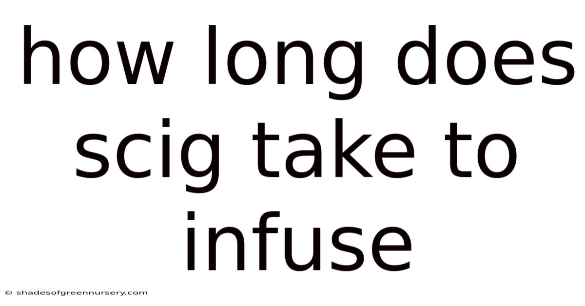 How Long Does Scig Take To Infuse