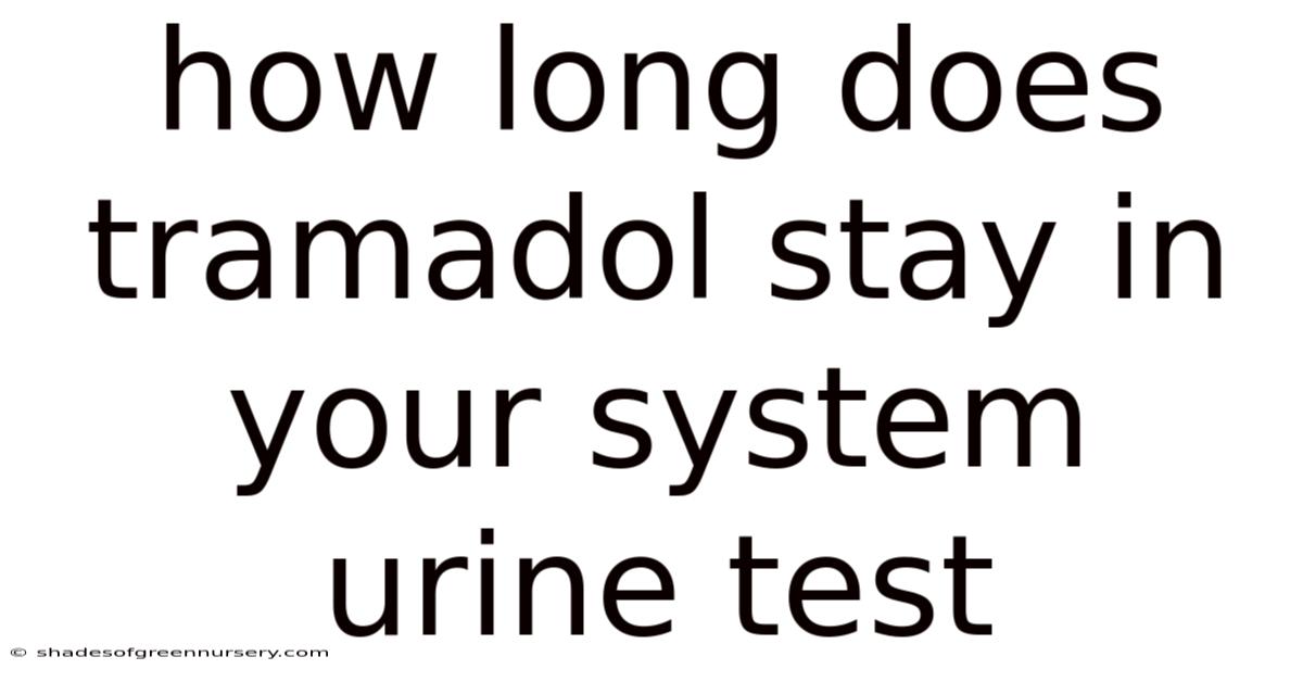 How Long Does Tramadol Stay In Your System Urine Test