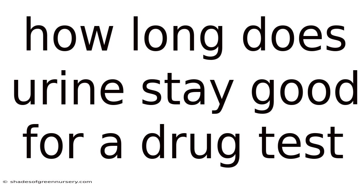 How Long Does Urine Stay Good For A Drug Test