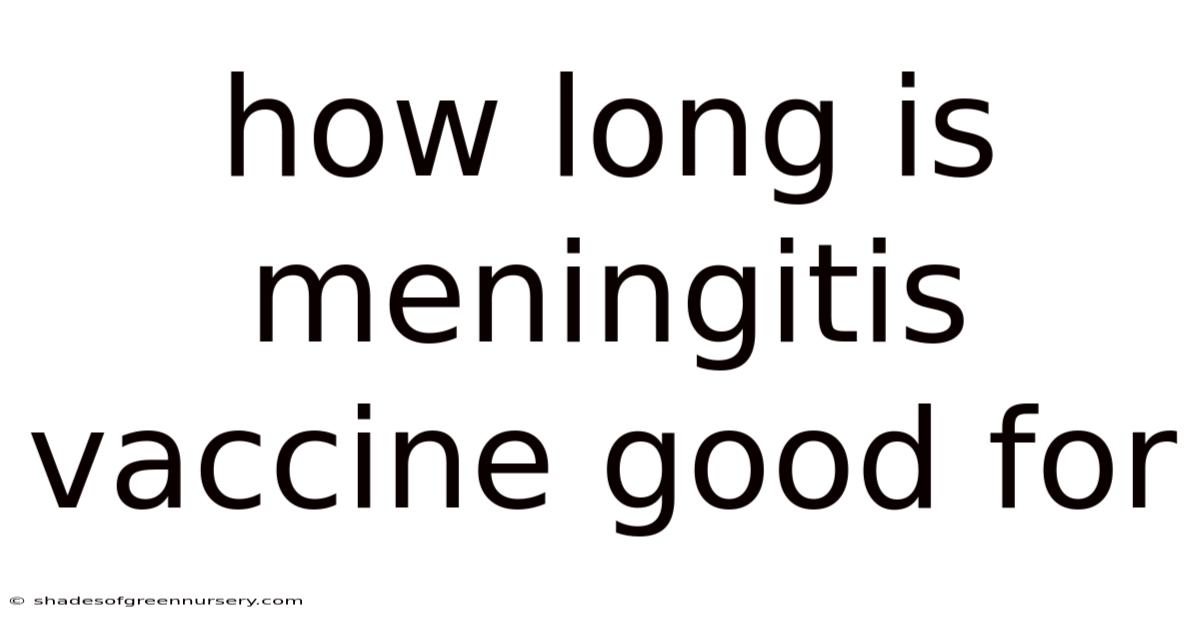 How Long Is Meningitis Vaccine Good For