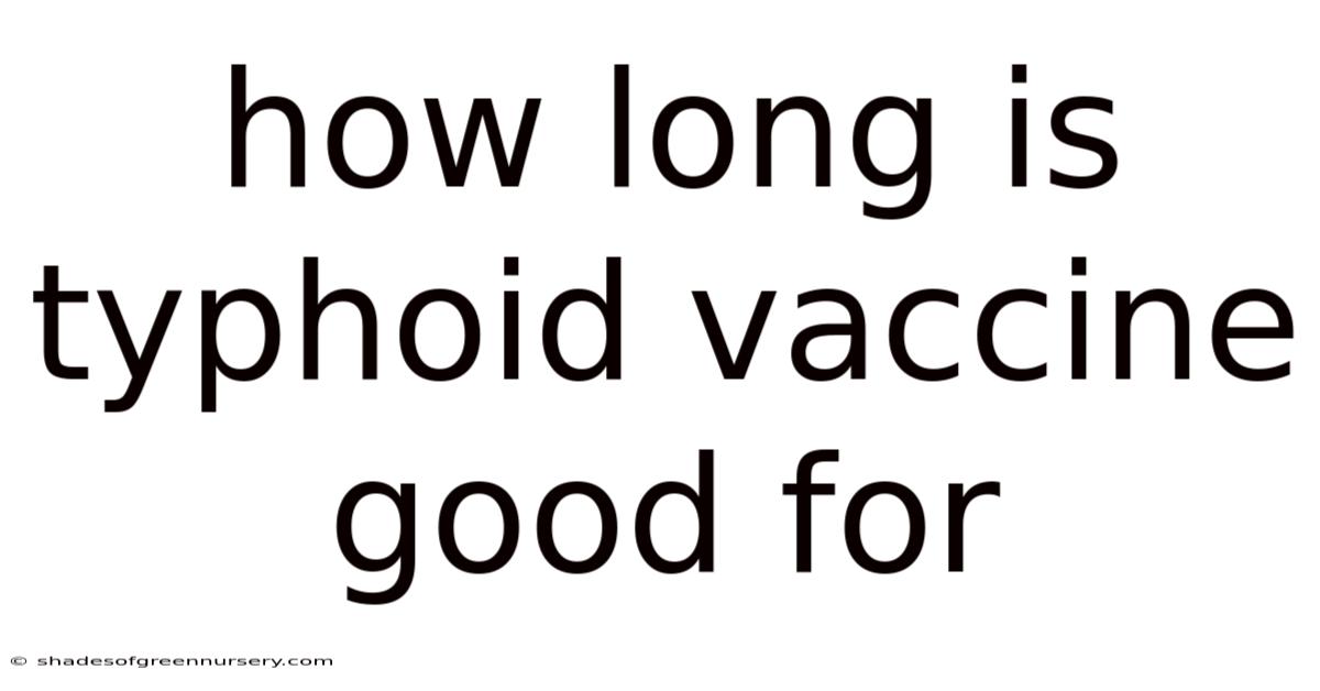 How Long Is Typhoid Vaccine Good For