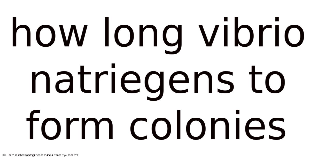 How Long Vibrio Natriegens To Form Colonies