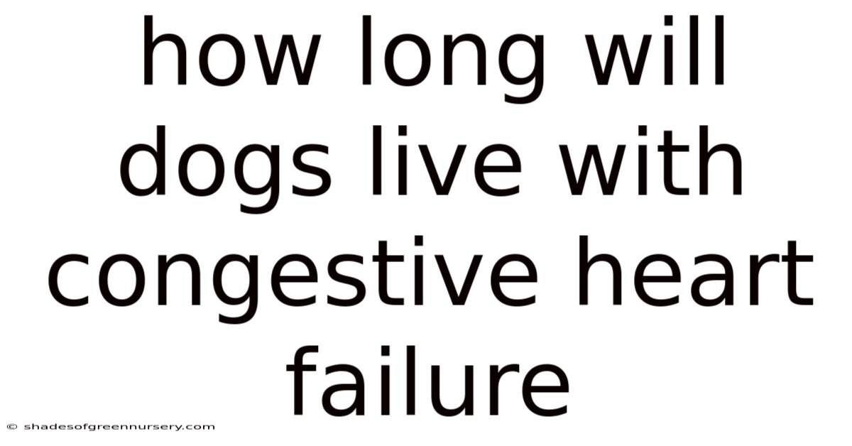 How Long Will Dogs Live With Congestive Heart Failure