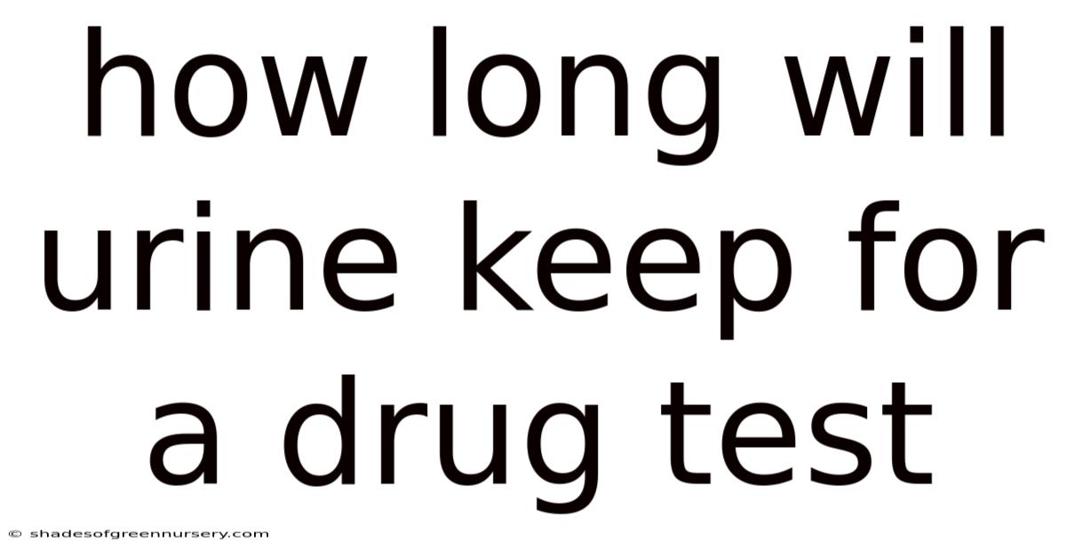 How Long Will Urine Keep For A Drug Test