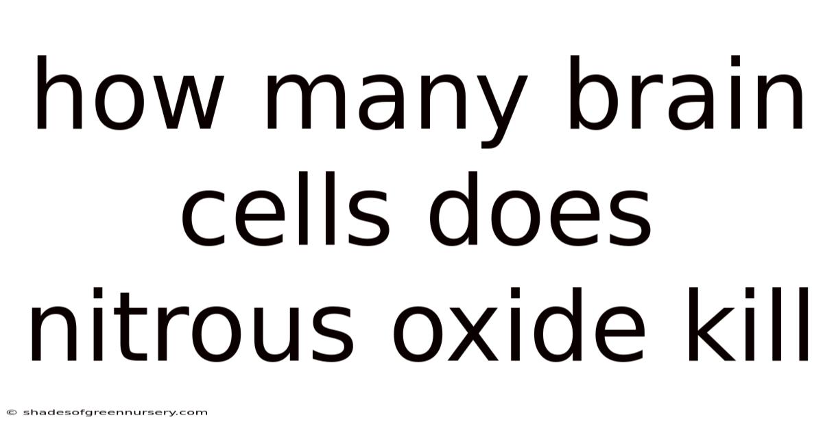 How Many Brain Cells Does Nitrous Oxide Kill