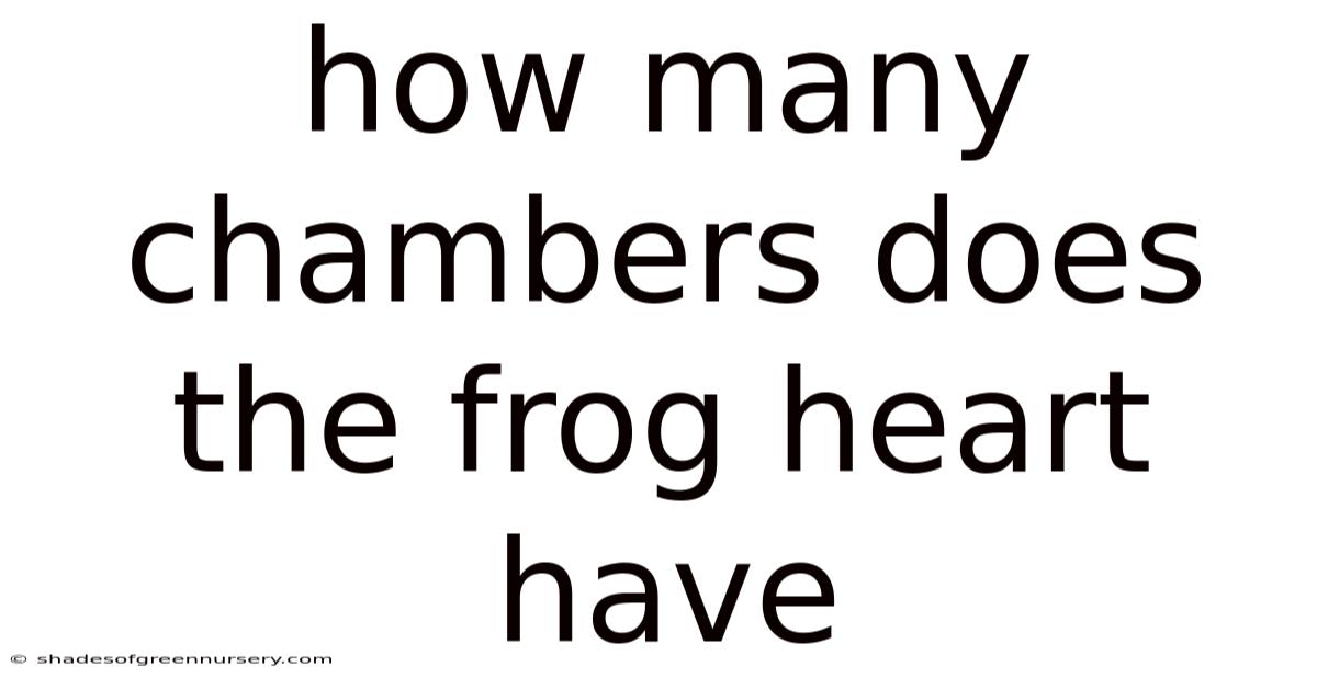 How Many Chambers Does The Frog Heart Have