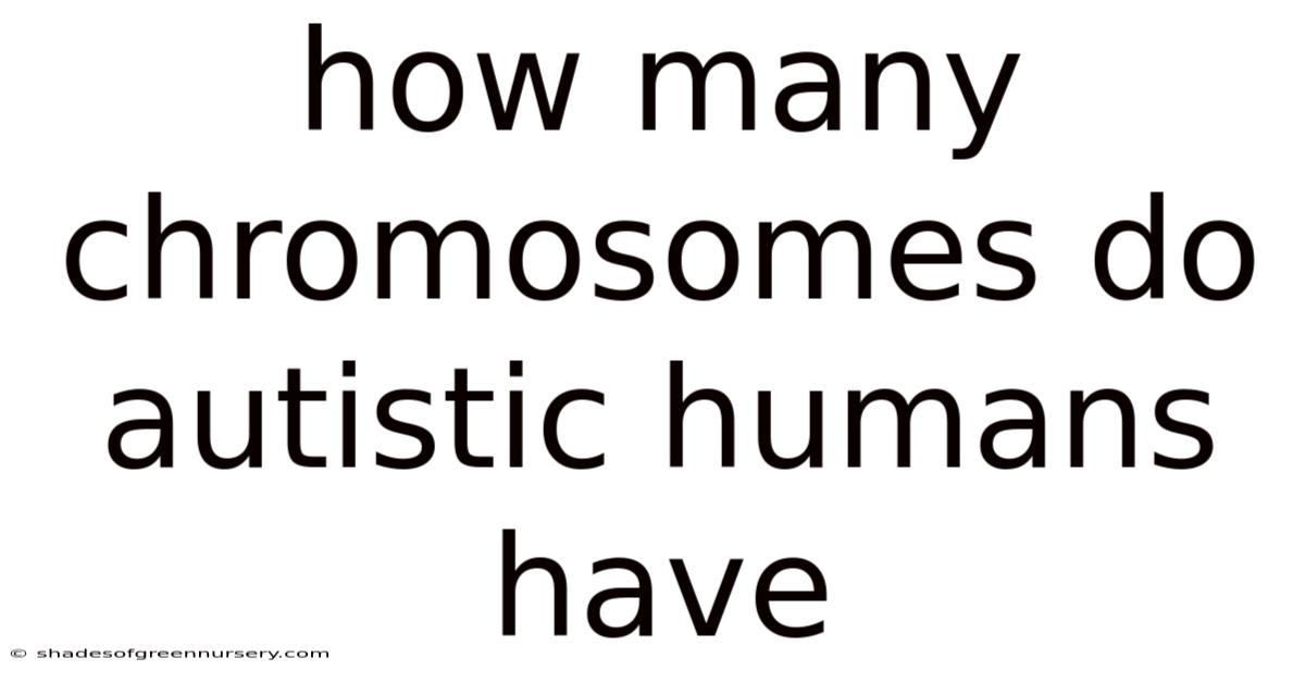 How Many Chromosomes Do Autistic Humans Have