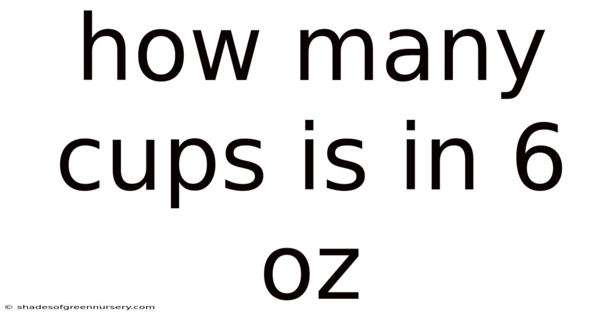 How Many Cups Is In 6 Oz