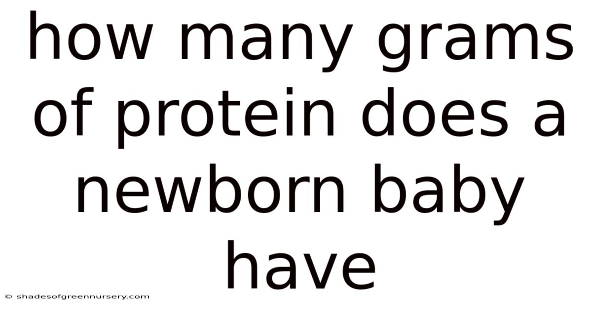 How Many Grams Of Protein Does A Newborn Baby Have