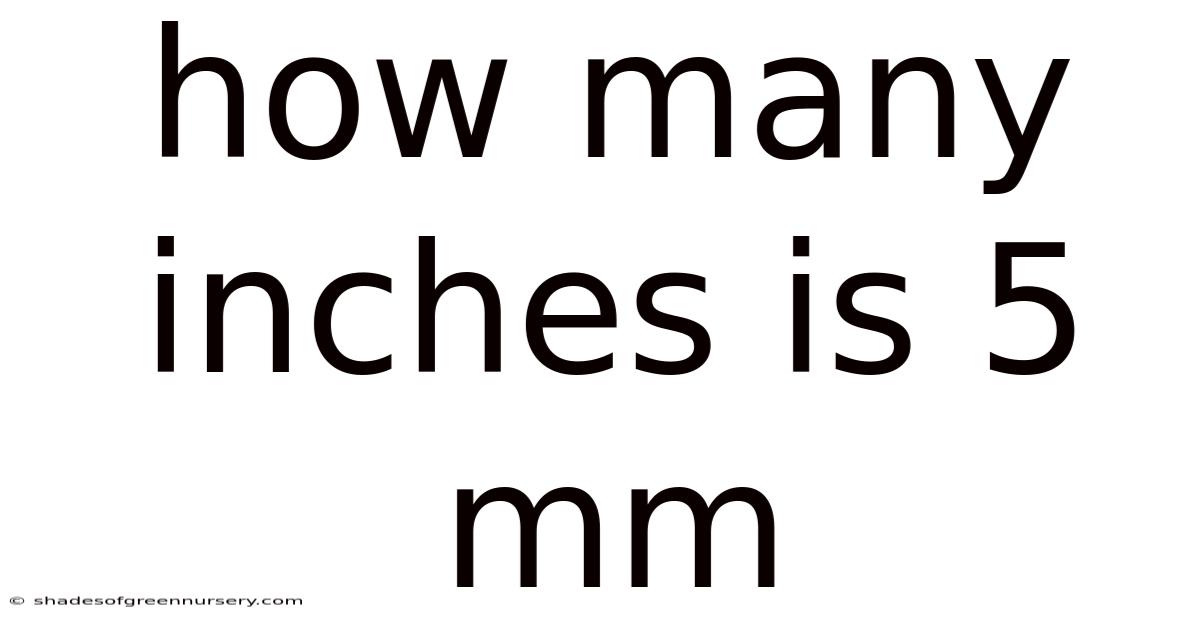 How Many Inches Is 5 Mm
