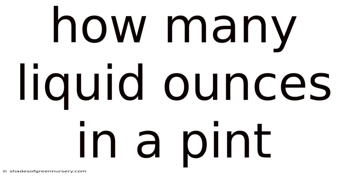 How Many Liquid Ounces In A Pint