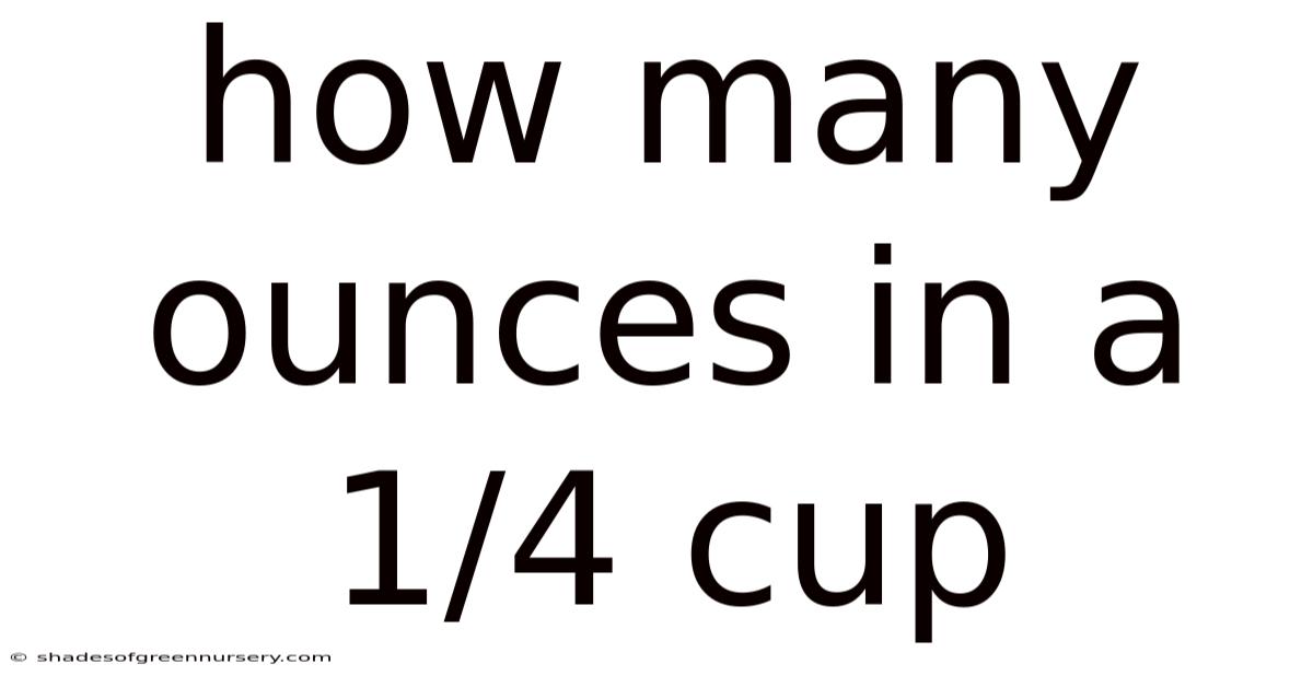 How Many Ounces In A 1/4 Cup