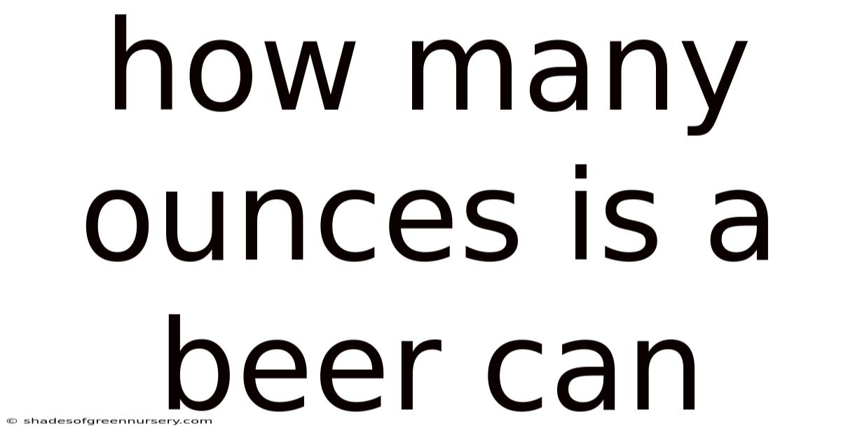 How Many Ounces Is A Beer Can