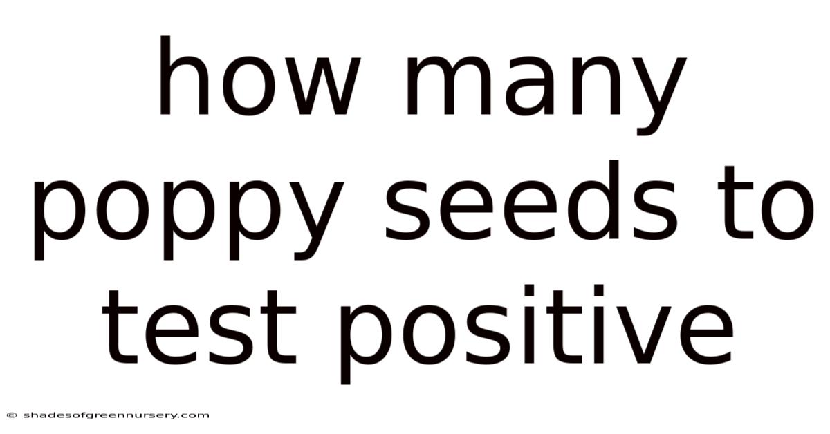 How Many Poppy Seeds To Test Positive