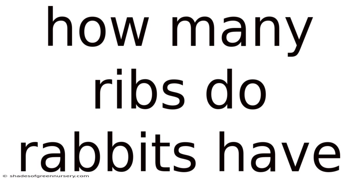 How Many Ribs Do Rabbits Have