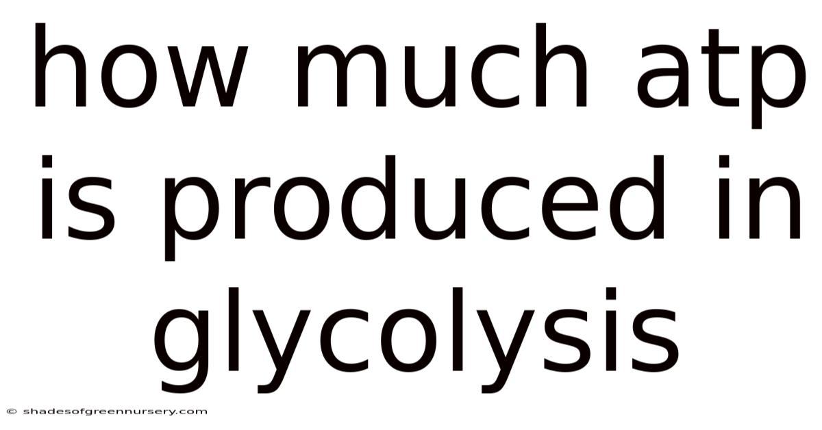 How Much Atp Is Produced In Glycolysis