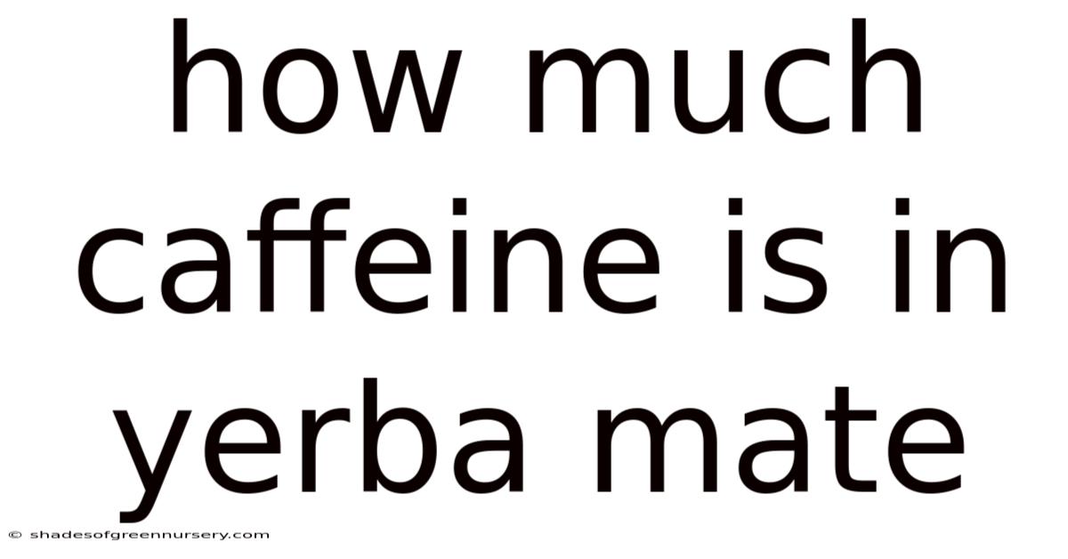 How Much Caffeine Is In Yerba Mate
