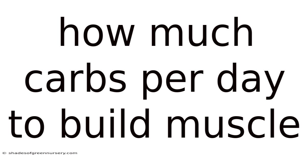 How Much Carbs Per Day To Build Muscle