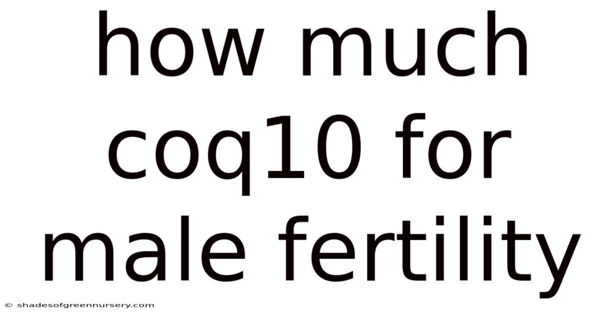 How Much Coq10 For Male Fertility