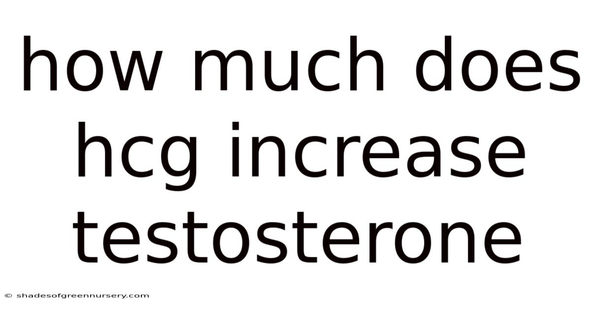 How Much Does Hcg Increase Testosterone