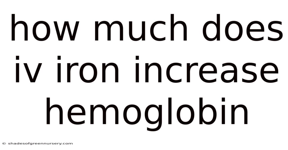 How Much Does Iv Iron Increase Hemoglobin