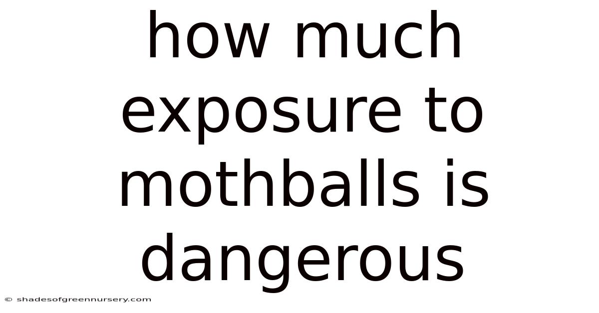 How Much Exposure To Mothballs Is Dangerous